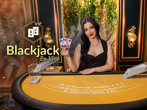 VIP Blackjack en Español 13 icon